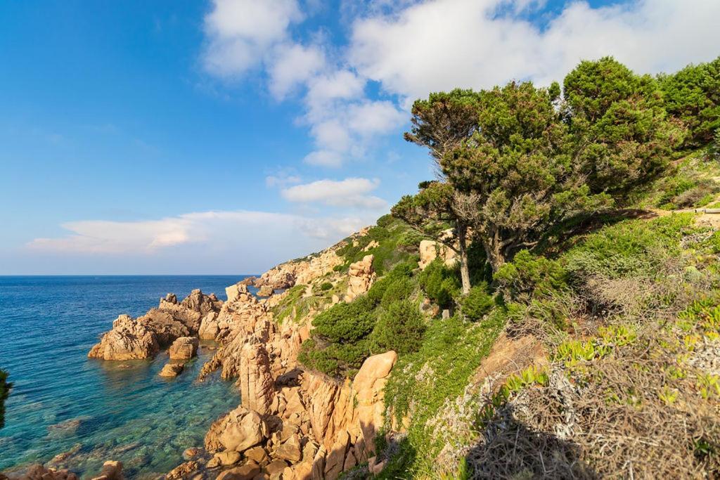 Villa Querida-Infinityholidays Costa Paradiso Εξωτερικό φωτογραφία